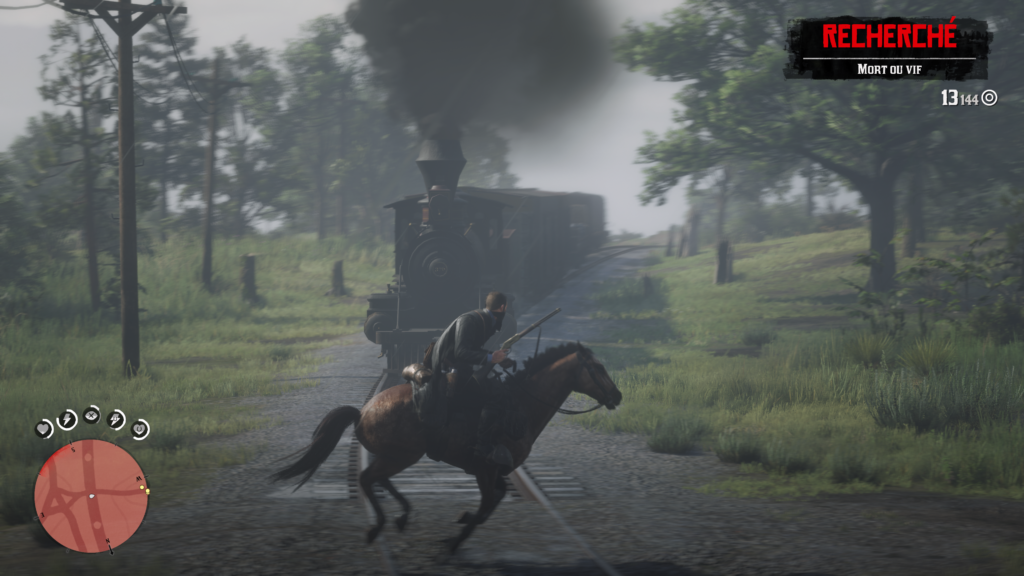 avis red dead redemption II