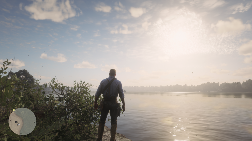 avis red dead redemption II