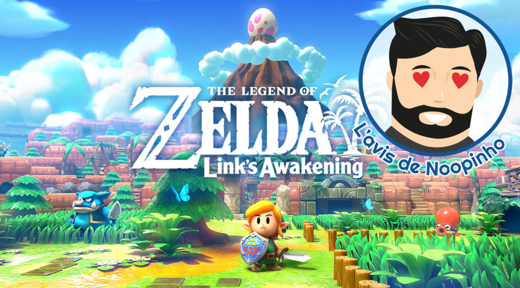 lavis de noopinho TLOZ LINKSAWAKENING