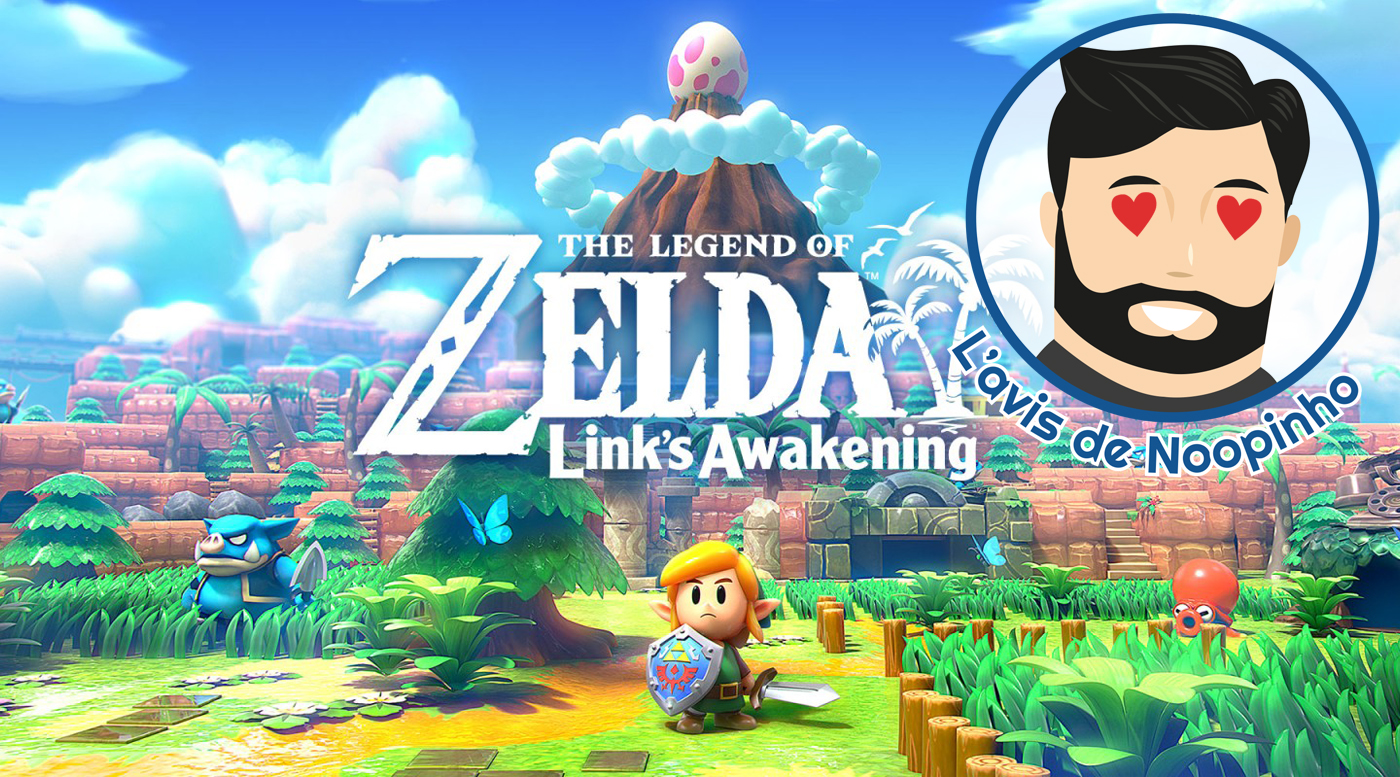 lavis de noopinho TLOZ LINKSAWAKENING