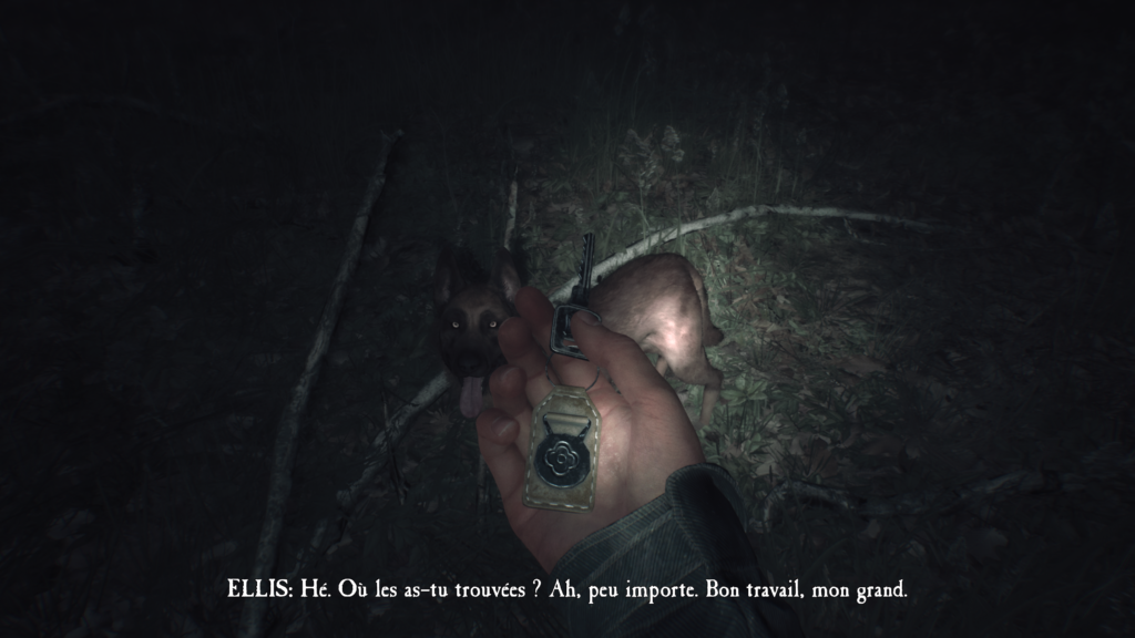 avis Blair Witch