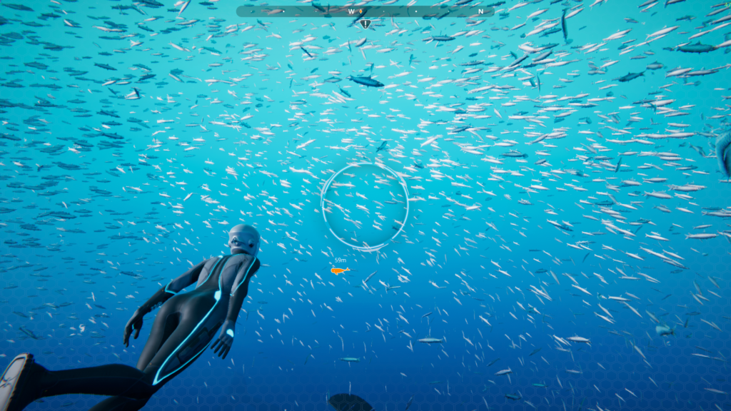 avis Beyond Blue