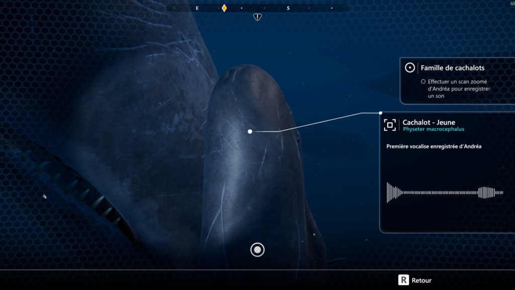 Beyond Blue 16 06 2020 21 51 14