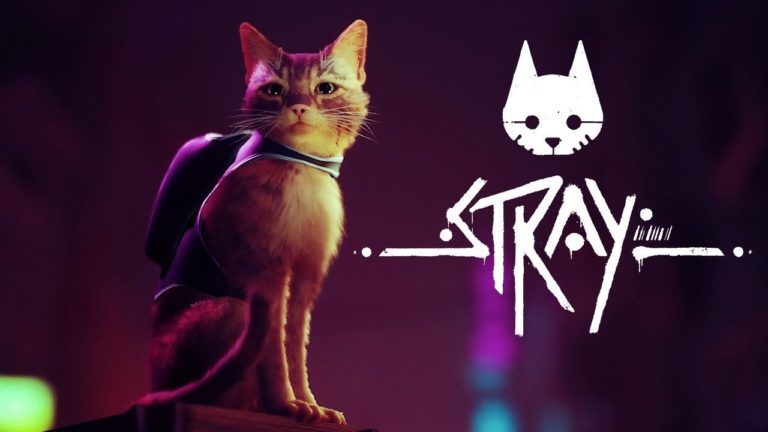Stray gameplay