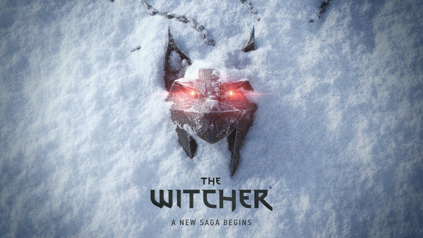 the withcer