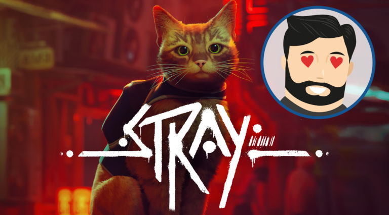 avis Stray Noopinho