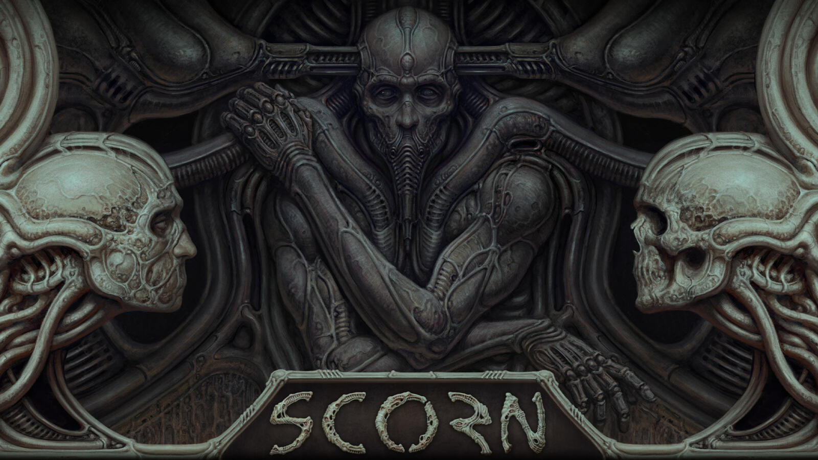 scorn