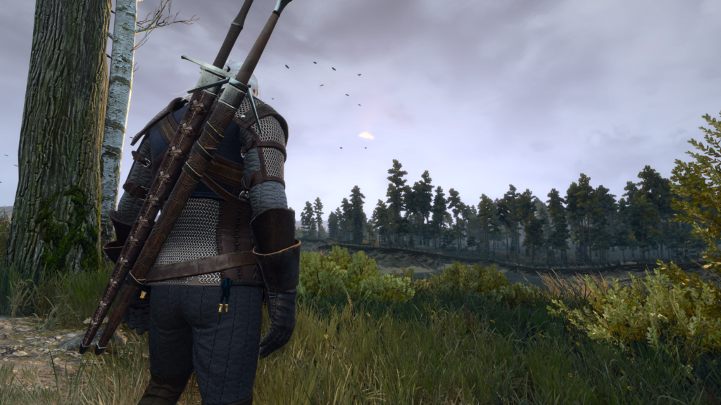 avis The Witcher 3 next-gen