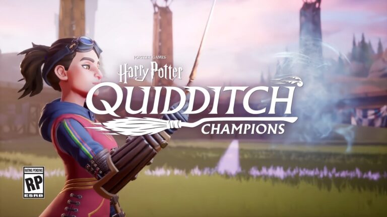 Harry Potter Champions de Quidditch