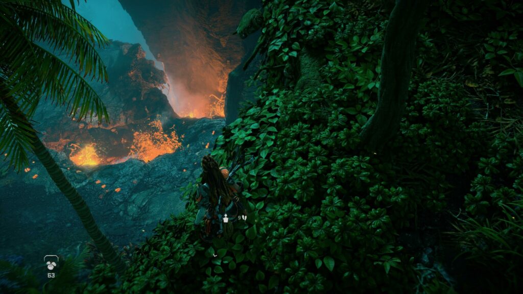 avis Burning Shores