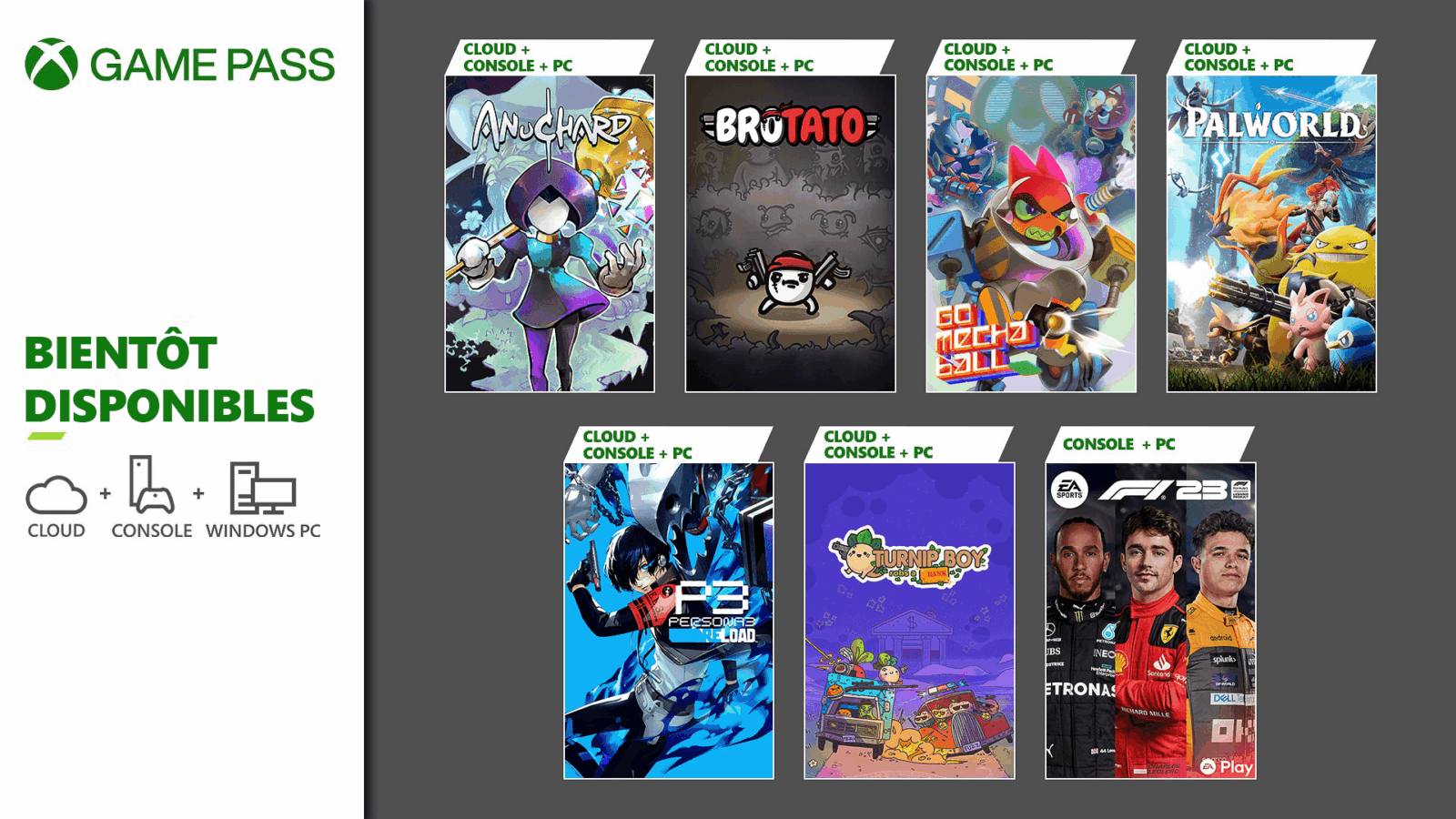 xbox game pass 01/24