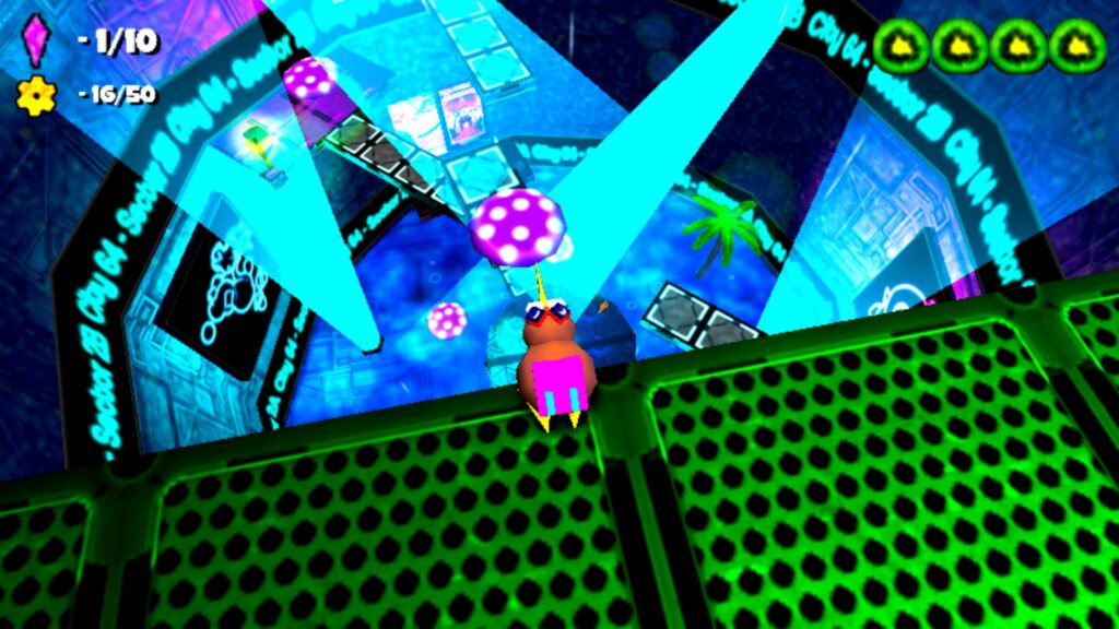 avis Super Kiwi 64