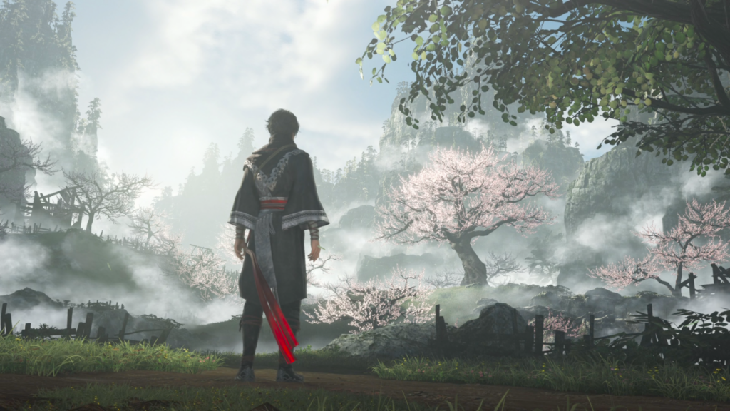 avis Dynasty Warriors : Origins