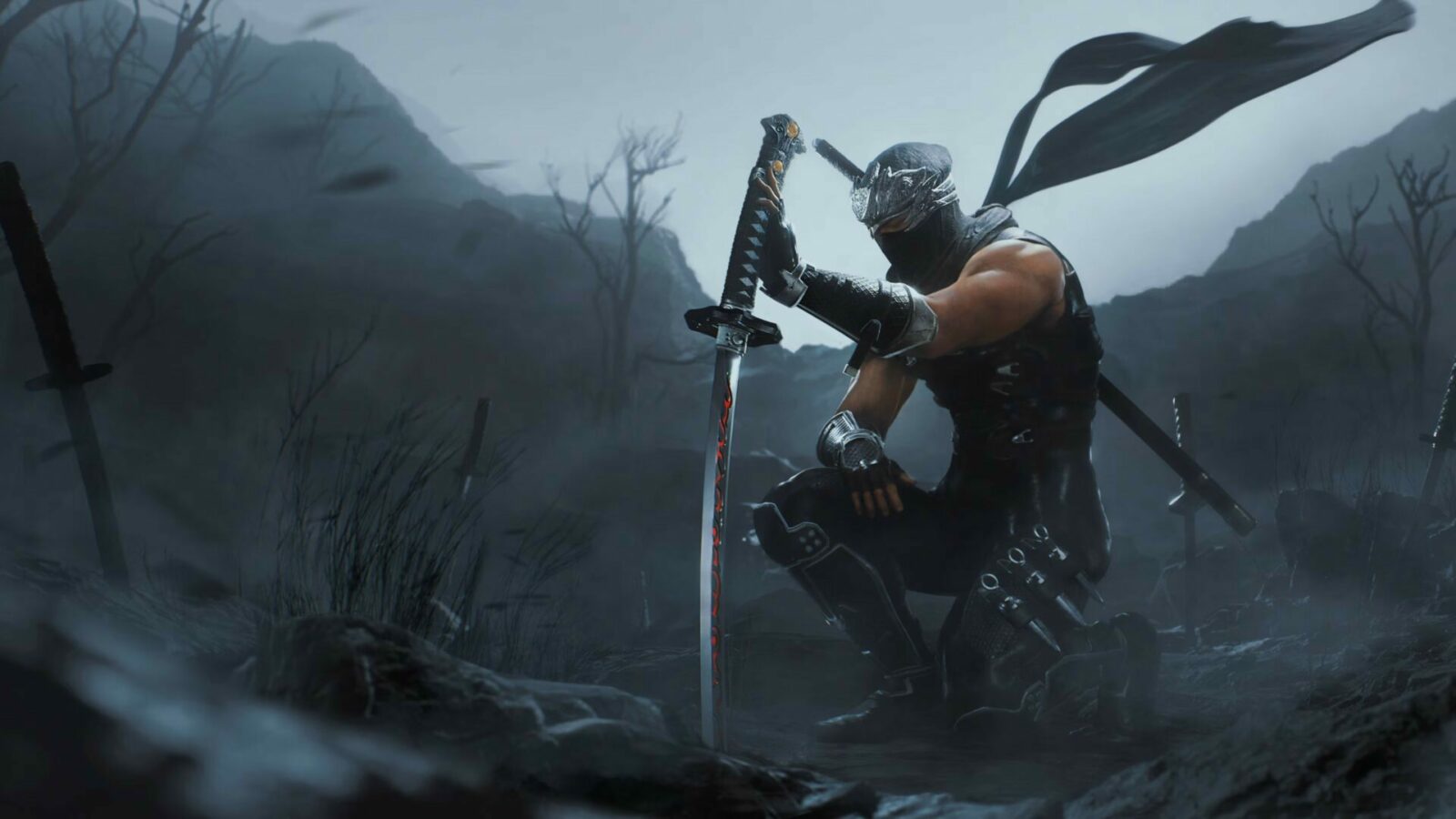 cover ninja gaiden 2 black