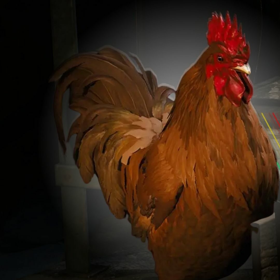 coquillard astuces arc raiders edited