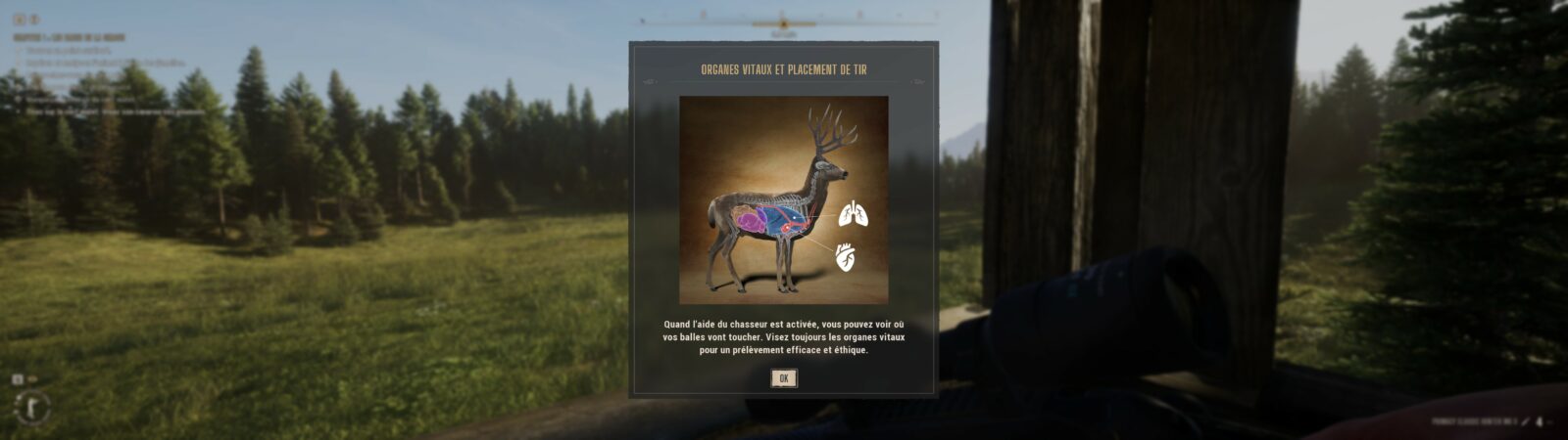 Way of the Hunter 2 : Soudain j'ai vu passer des oies sauvages Écran tutoriel sur les organes vitaux et le placement de tir
