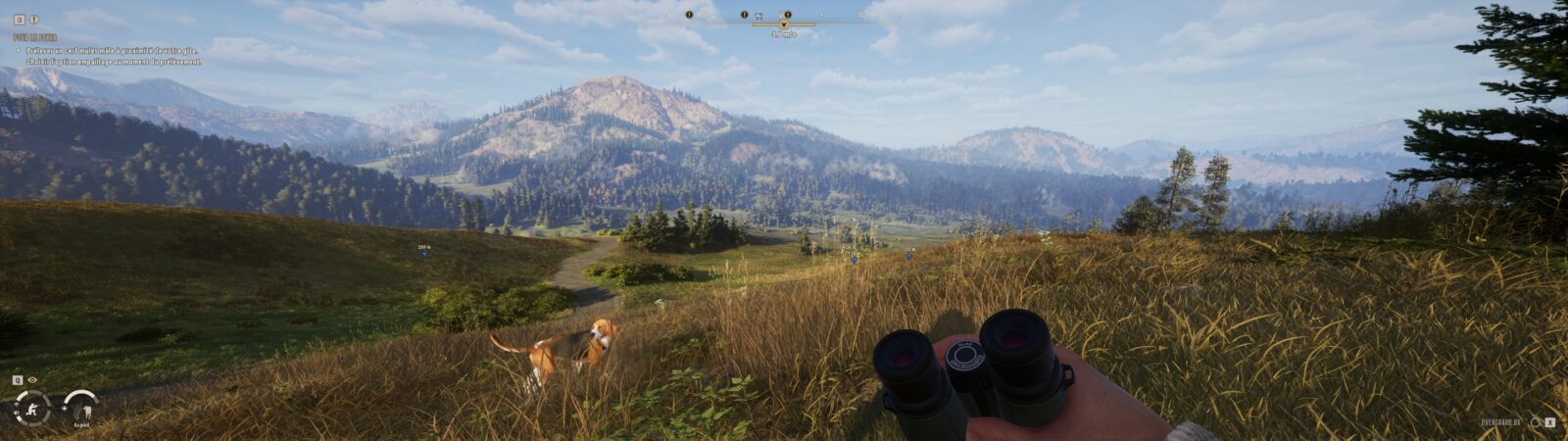 Way of the Hunter 2 : Soudain j'ai vu passer des oies sauvages Chien de chasse dans les hautes herbes face aux montagnes